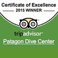 Certificate of Excellence Scuba Diving in St. Thomas US Virgin Islands