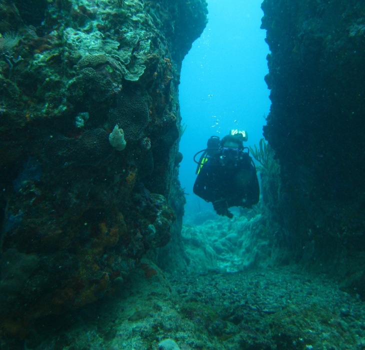 scuba diving in St. Thomas St. John United States Virgin Islands